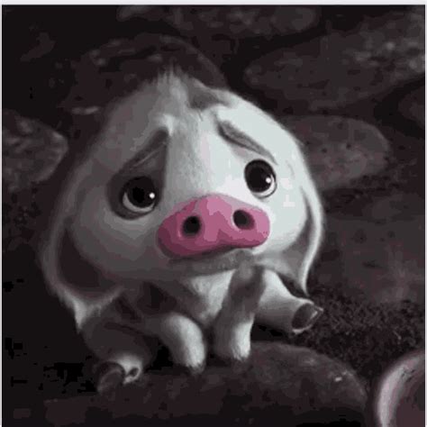 Sad Piggy  Sad Piggy Discover And Share S