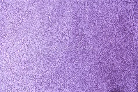 Purple Skin Texture Stock Photo Image Of Quality Effect 118445878