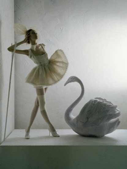 Tim Walker Photographyarchived Swan Tim Walker Photography Tim