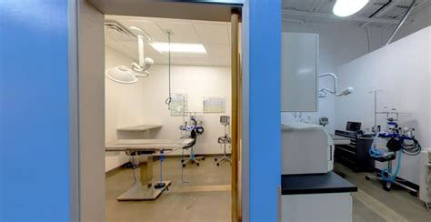 Veterinary Pre Operation Room Vetsavers Pet Hospital