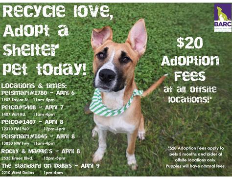 Welcome to the oakland county animal shelter and pet adoption center! Adopt A Pet / Search Adoptable Pets