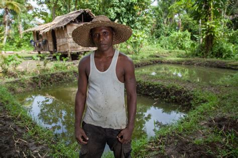 Social Dynamics Shaping The Diffusion Of Sustainable Aquaculture