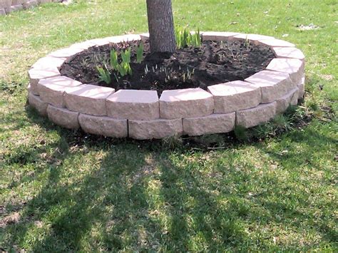 Landscaping Bricks Around Tree Landscaping Around Trees Landscape