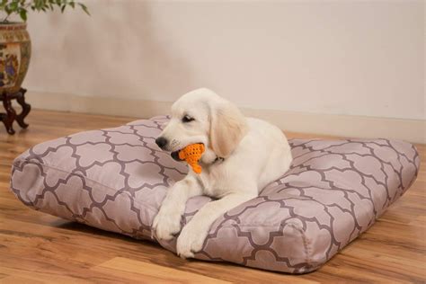 What Are The Best Dog Beds For Chewers Bark
