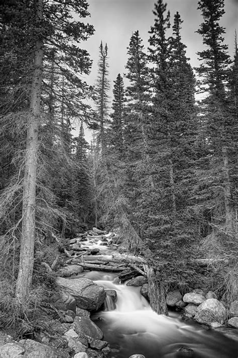 Colorado Rocky Mountain Flowing Stream Bw Photograph By James Bo
