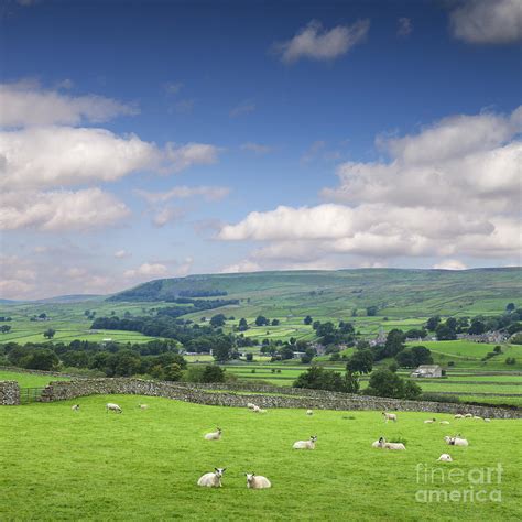 Wensleydale Yorkshire Dales England Photograph By Colin