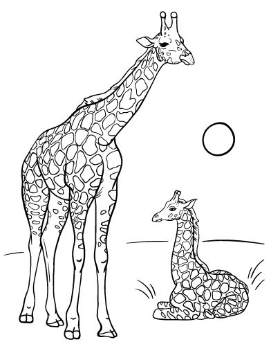 Printable Giraffe Coloring Page Free Pdf Download At