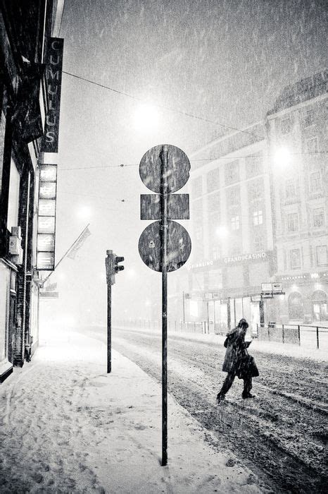 25 Dreamy Snowfall Scenes Fantastic Art Sepia Photography Print