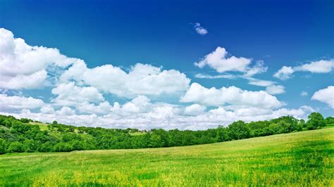 Download Wallpaper 1920x1080 Greens Meadow Trees Clouds Colors Full