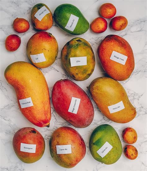 ⋆ Laura ⋆ On Instagram How Many Of These Mango Types Have You Tried