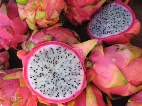 Las 10 Frutas Más Exóticas Y Ricas Del Mundo Infobae