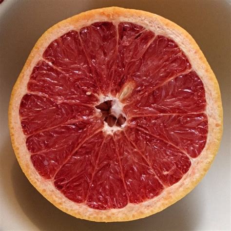 Citrus Grapefruit Ruby Red Harvest2u