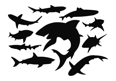 Shark Silhouette Vectors Shark Silhouette Fish Silhouette Images