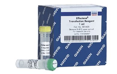 Primary Cell Transfection Effectene Transfection Reagent Product