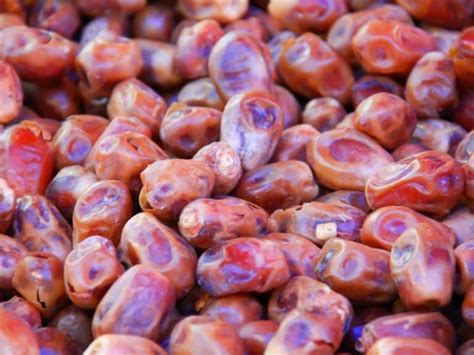 30 Types Of Dates Complete List And Guide 2023 Northern Nester