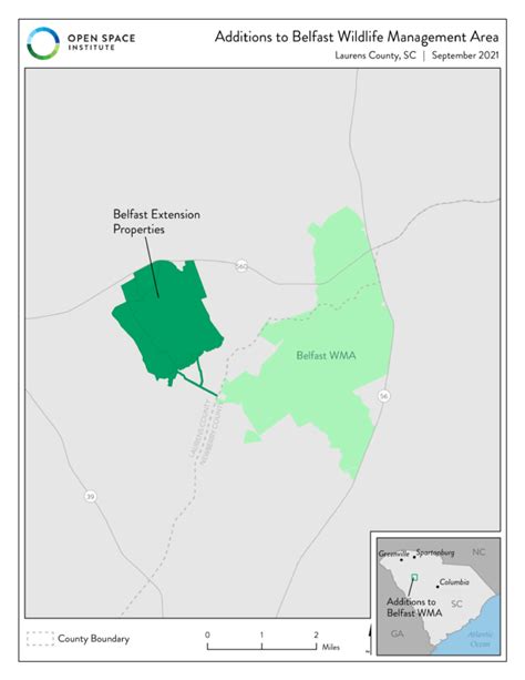 Osi Adds 1841 Acres To South Carolinas Belfast Wildlife Management