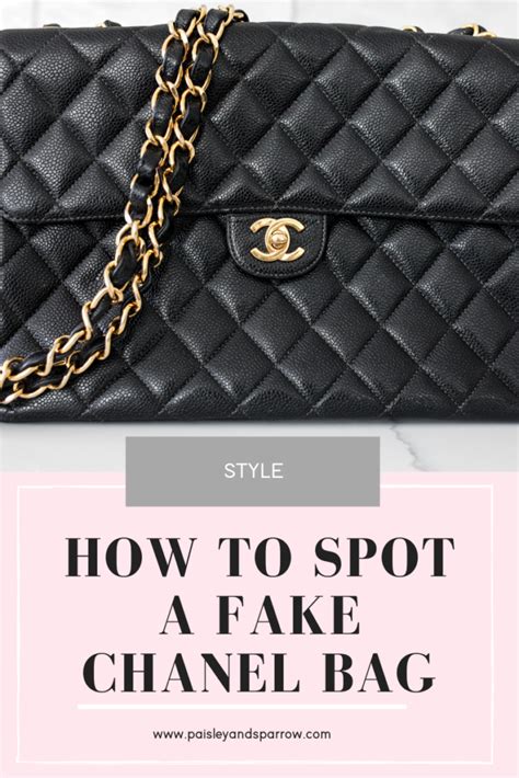How To Clean Chanel Handbag Staybite11