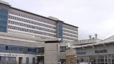 Bbc News Cardiff Mortuarys Pest Control Concern