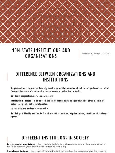 Non State Institutions And Organizations Pdf International
