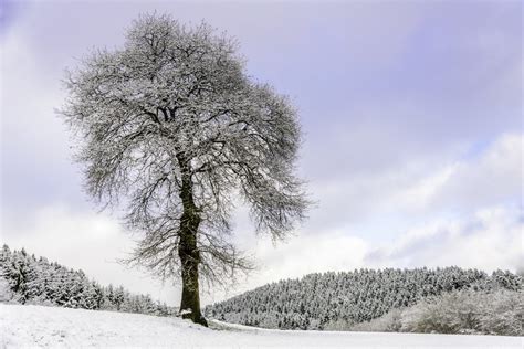 17 Tips For Winter Landscape Photography The Landscape Photo Guy