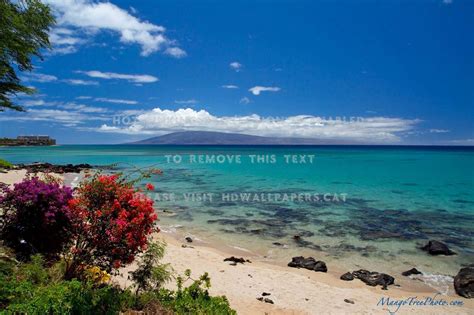 Secluded Beach Wallpapers Wallpaper Cave