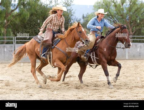 Cowgirls Riding Horses Hi Res Stock Photography And Images Alamy