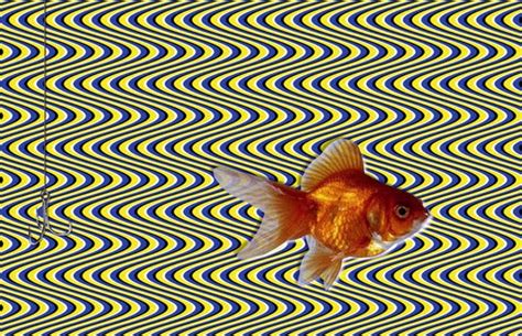 50 Optical Illusions To Trick Your Eyes