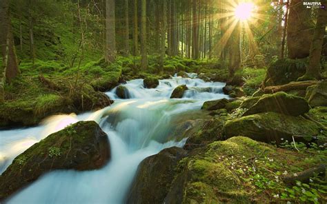 Waterfall Rays Of The Sun River Forest Beautiful Views Wallpapers