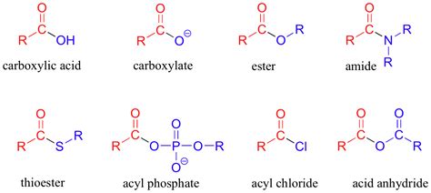 Polymerization is avoided by conducting the desired reaction under mild conditions and in the presence of polymeriza tion inhibitors. 12.1: Introduction to carboxylic acid derivatives and the ...
