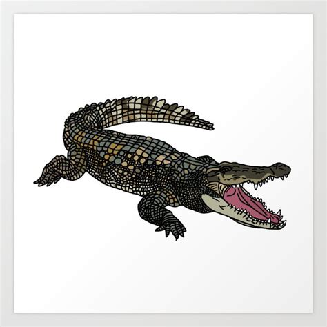 American Alligator Art Print By Grace Thanda Society6