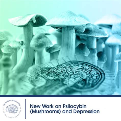 New Work On Psilocybin Mushrooms And Depression Psychiatric