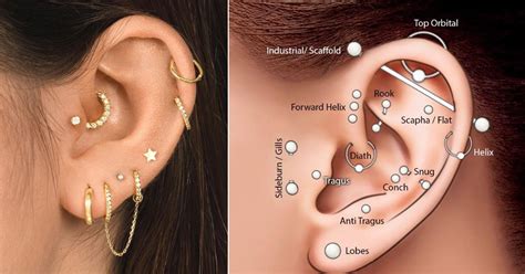 Ultimate Guide Different Types Of Ear Piercings Annadesignstuff Com