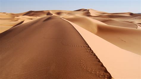 Wallpaper Landscape Nature Desert Footprints Dune Sahara