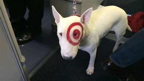Target Mascot Bullseye Flies First Class