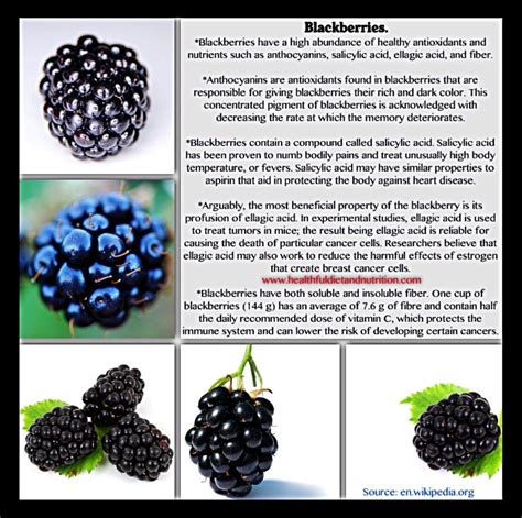 Such a composition makes it extremely healthy and beneficial. Health Benefits of Blackberries. | Blackberry health ...