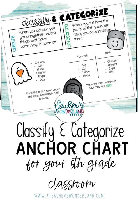 Classify And Categorize Anchor Chart And Poster Anchor Charts Learning
