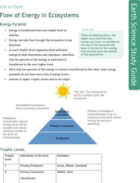 Energy Flow Worksheet Answers