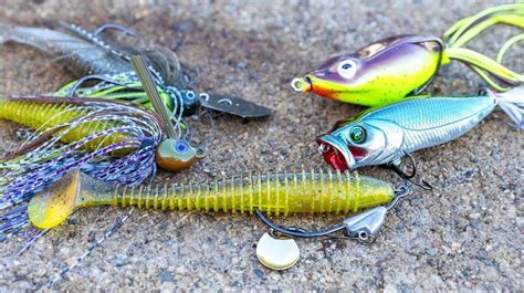 10 Best Pond Baits For Pond Fishing Your Aquarium Guide