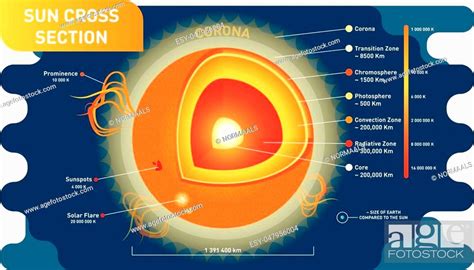Sun Cross Section Scientific Vector Illustration Diagram With Sun Inner