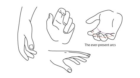Human Anatomy Fundamentals How To Draw Hands
