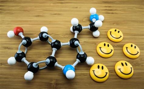 Самые известные гормоны счастья и их влияние на организм ...