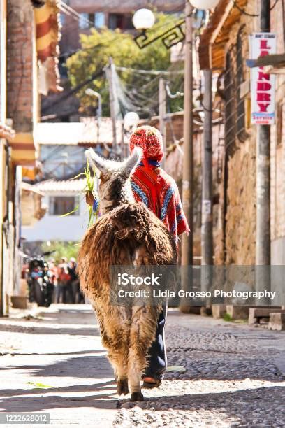 Indigenous People Of Peru Stock Photo Download Image Now Colors