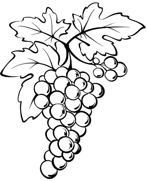 Fruit Pages Grapes Coloring Pages
