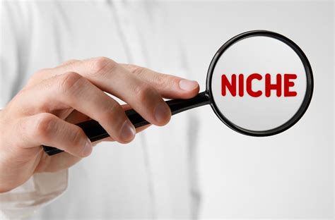What Is Niche Marketing Your Comprehensive Guide Virtuzone