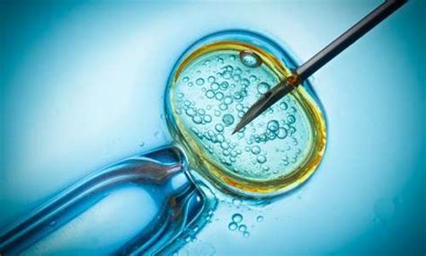 Sperm Collection For Sperm Analysis Al Ain Fertility Center