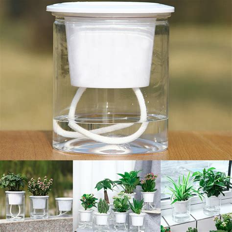 Walbest Clear Automatic Water Absorption Planter Plastic Self Watering