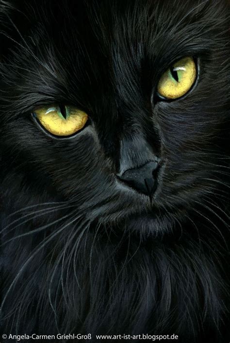 My Newest Pastel Painting Black Cat Painting Black Cat Art Cat Art