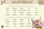 +100 nombres de GATOS FAMOSOS - ¡Ideas originales que no conocías!