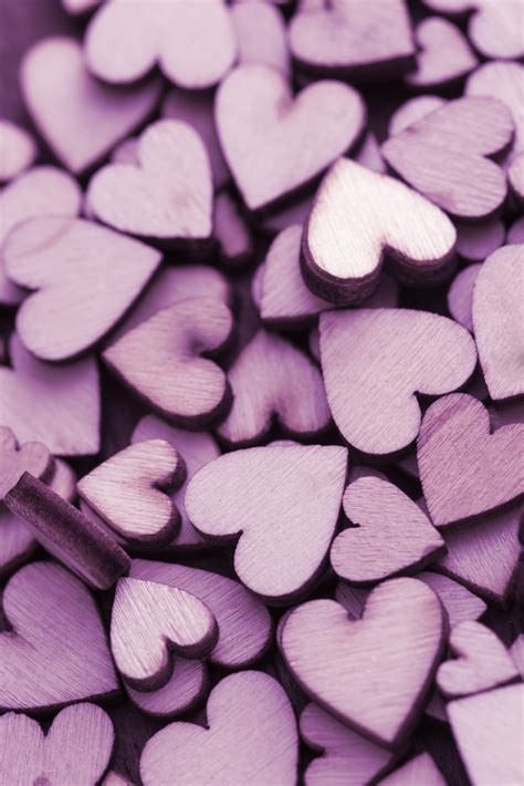 Free Stock Photo 13504 Pile Of Purple Hearts Freeimageslive