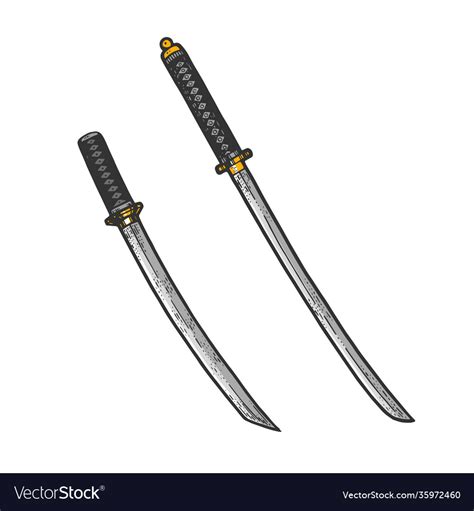 Japanese Sword Katana And Wakizashi Sketch Vector Image